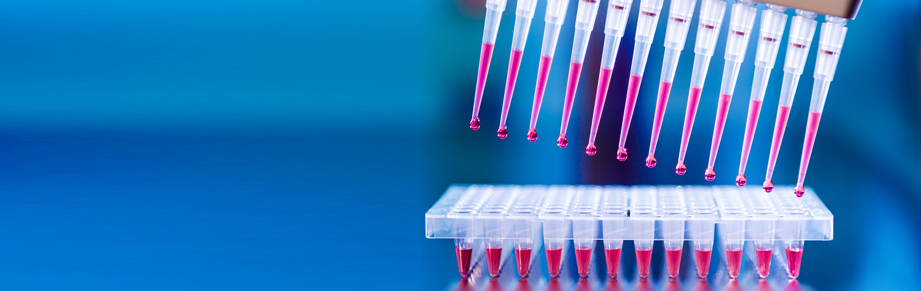 Laboratory Services