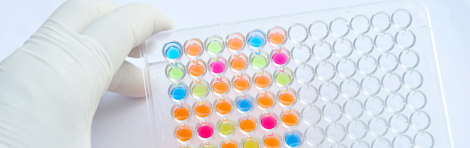 Research Technology